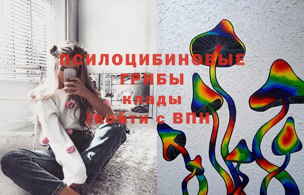 mdpv Алзамай
