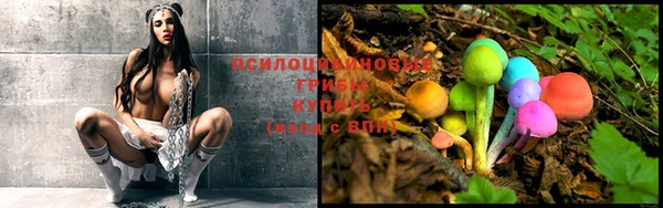 mdpv Алзамай
