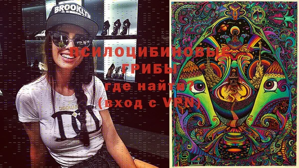 сатива Абаза