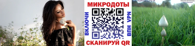 дарнет шоп  мега онион  Галлюциногенные грибы Cubensis  это состав  Котово 